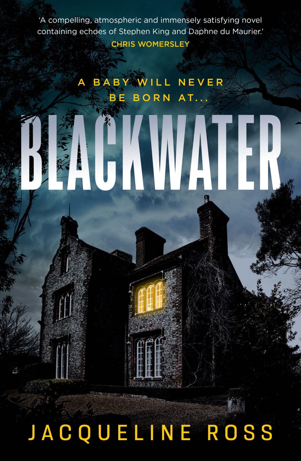 Blackwater: Novel Review