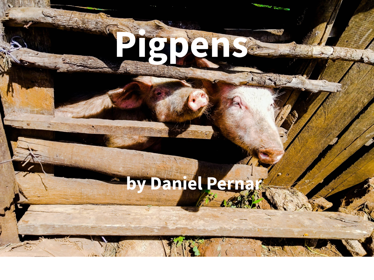 Pigpens